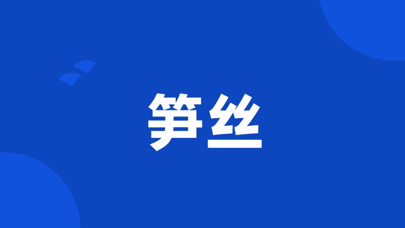 笋丝