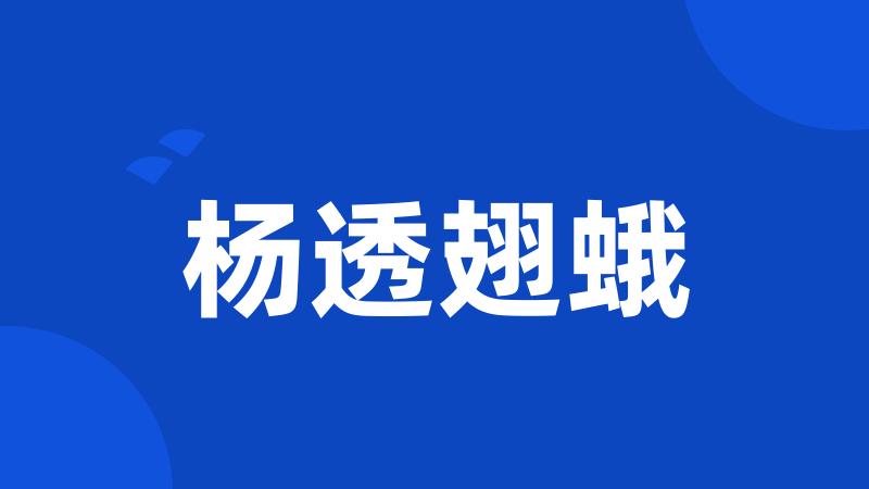 杨透翅蛾