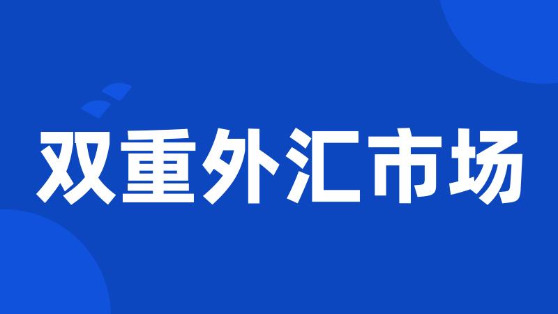 双重外汇市场