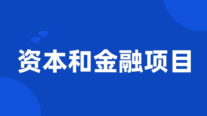 资本和金融项目