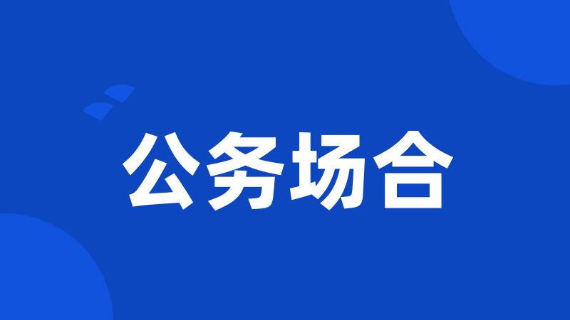 公务场合