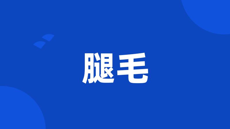 腿毛