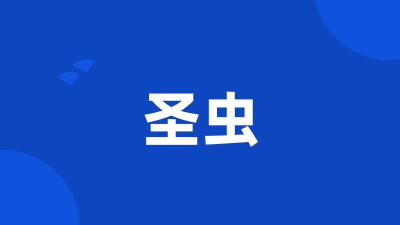 圣虫