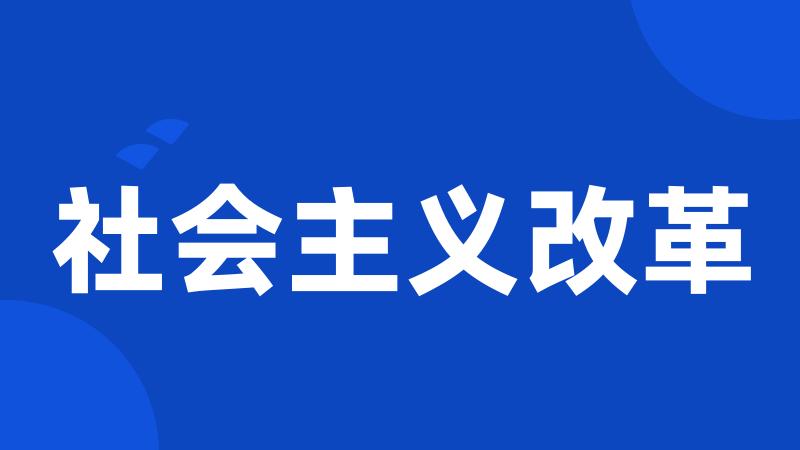 社会主义改革