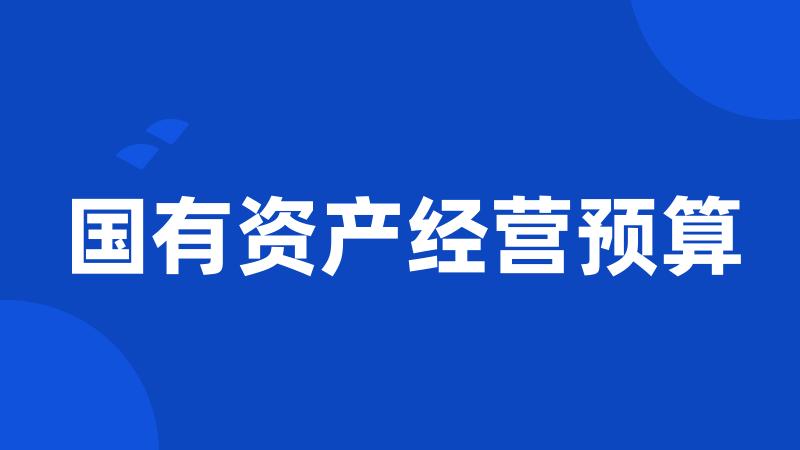 国有资产经营预算
