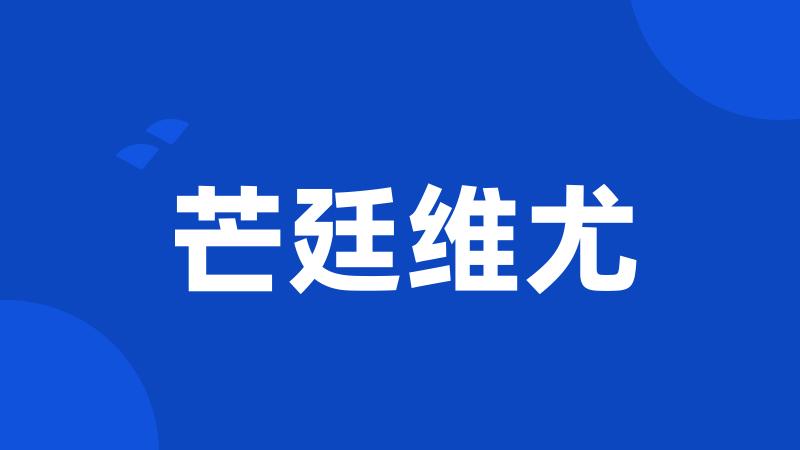 芒廷维尤