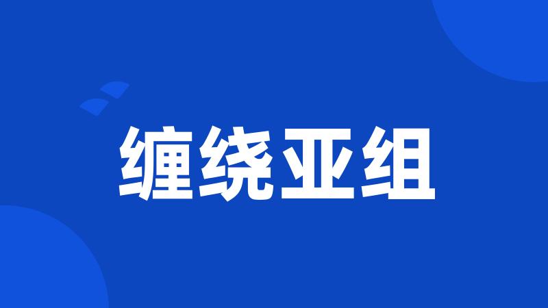 缠绕亚组