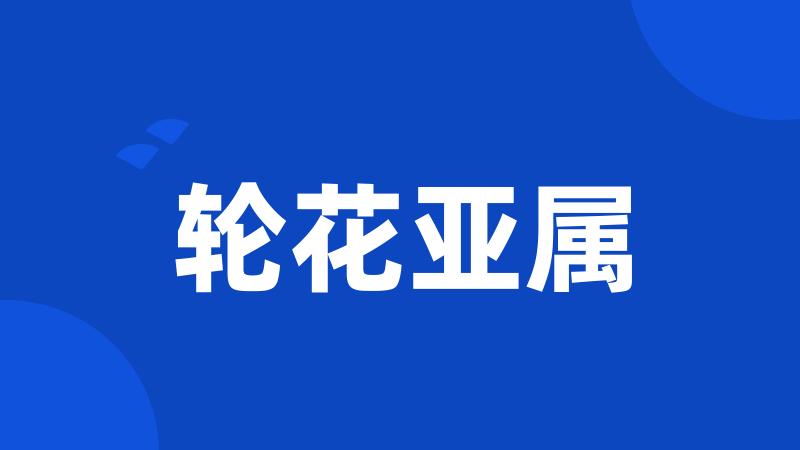 轮花亚属