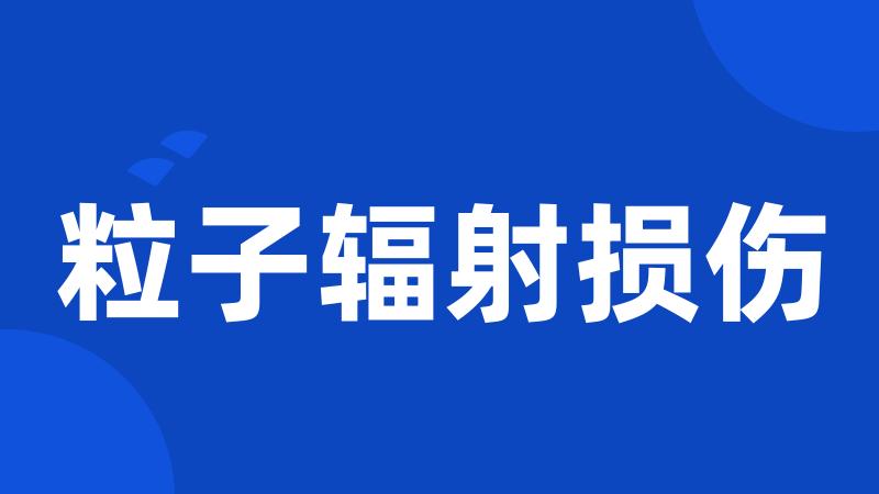 粒子辐射损伤