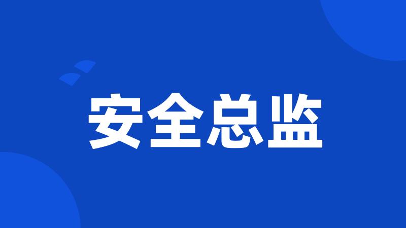 安全总监