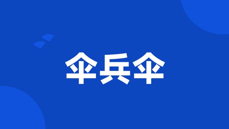伞兵伞