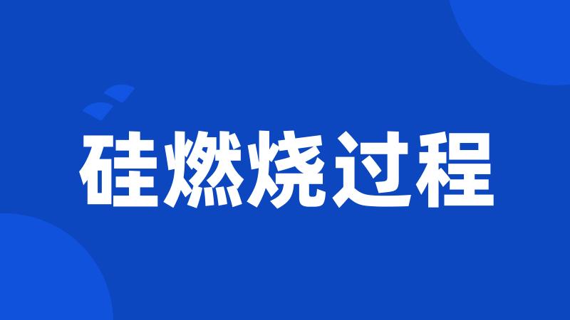 硅燃烧过程