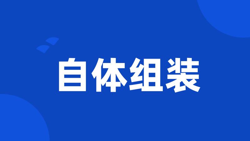 自体组装
