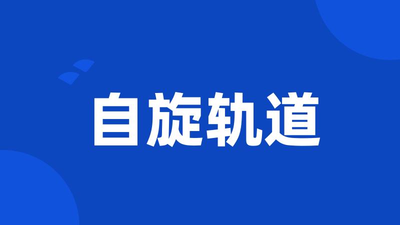 自旋轨道