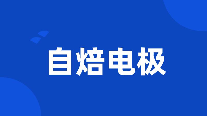 自焙电极