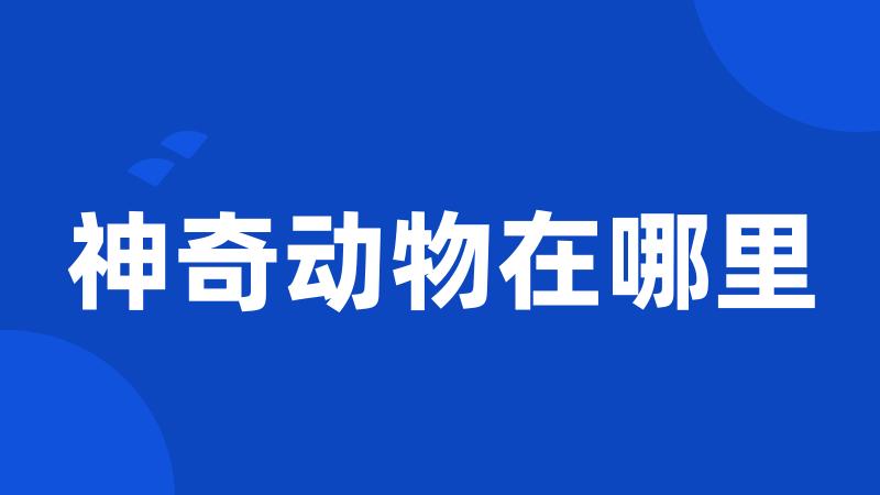 神奇动物在哪里