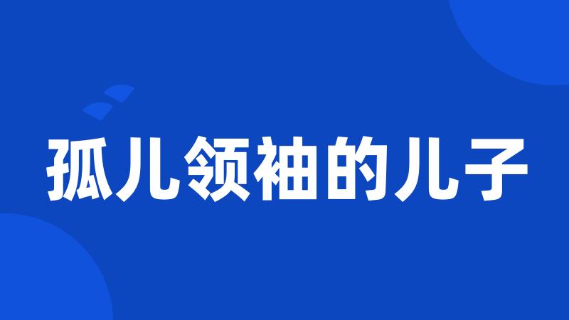 孤儿领袖的儿子