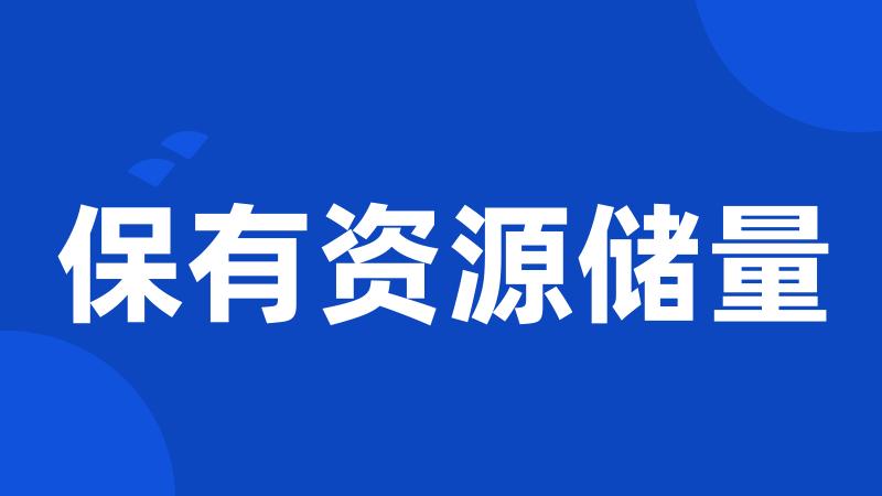 保有资源储量