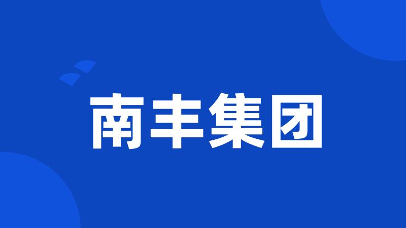 南丰集团