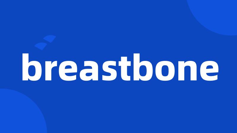 breastbone