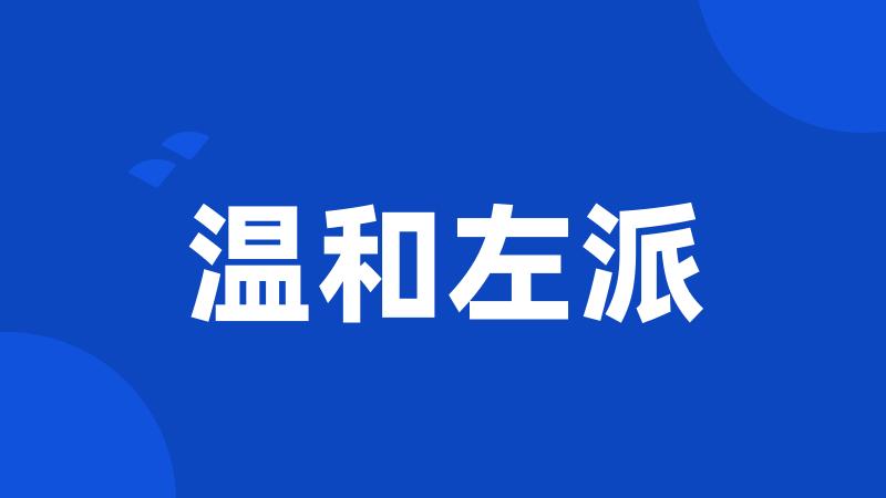 温和左派