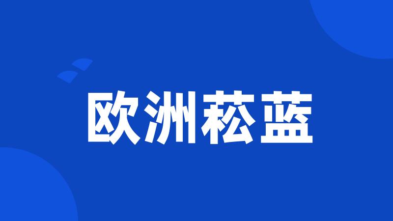 欧洲菘蓝