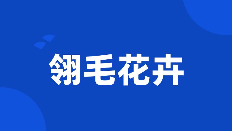 翎毛花卉