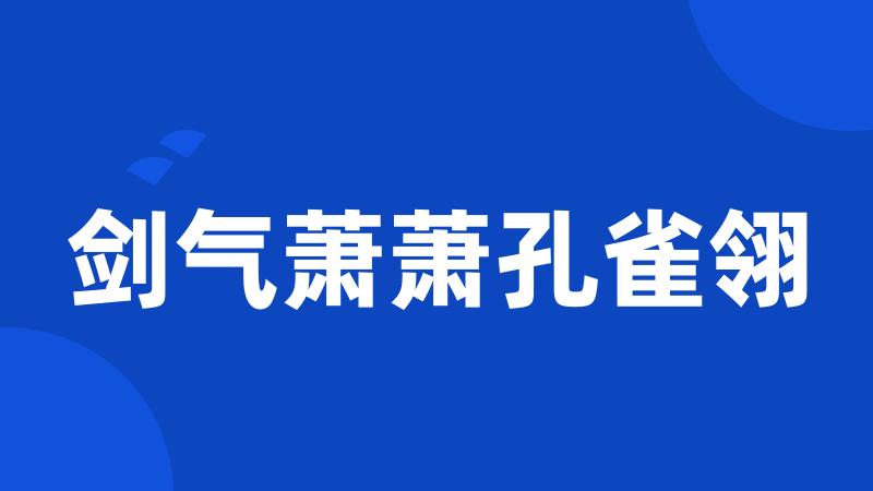 剑气萧萧孔雀翎