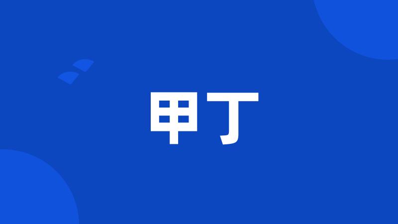 甲丁