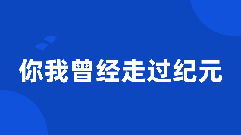 你我曾经走过纪元