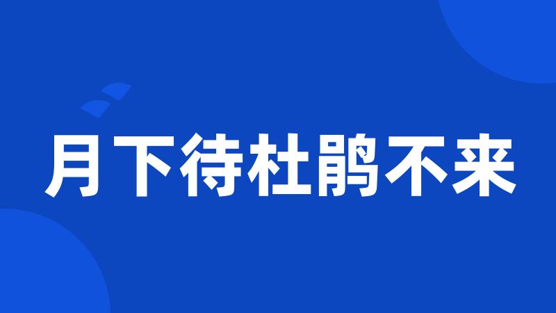 月下待杜鹃不来