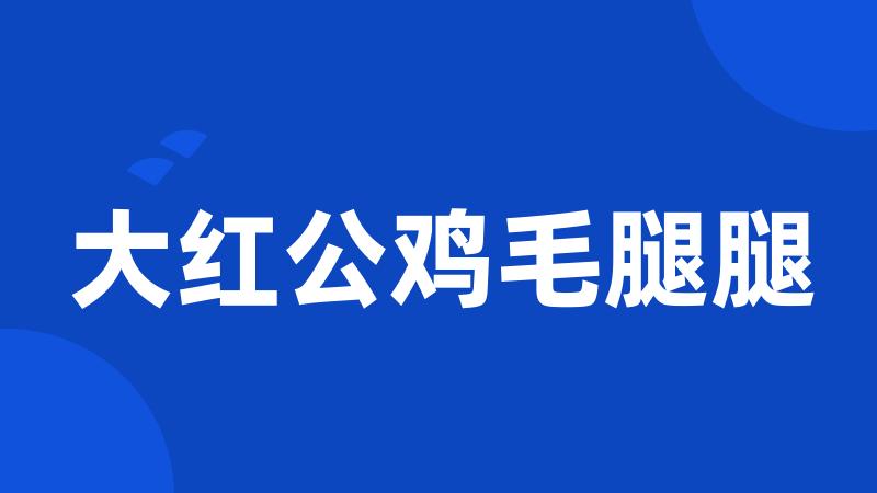 大红公鸡毛腿腿