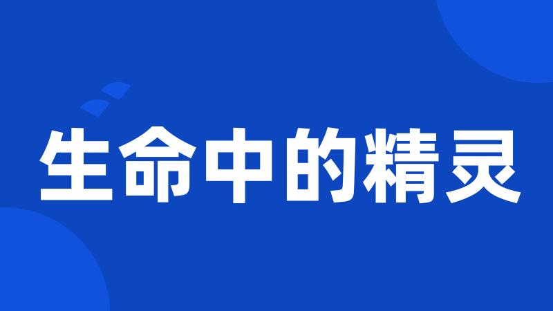 生命中的精灵