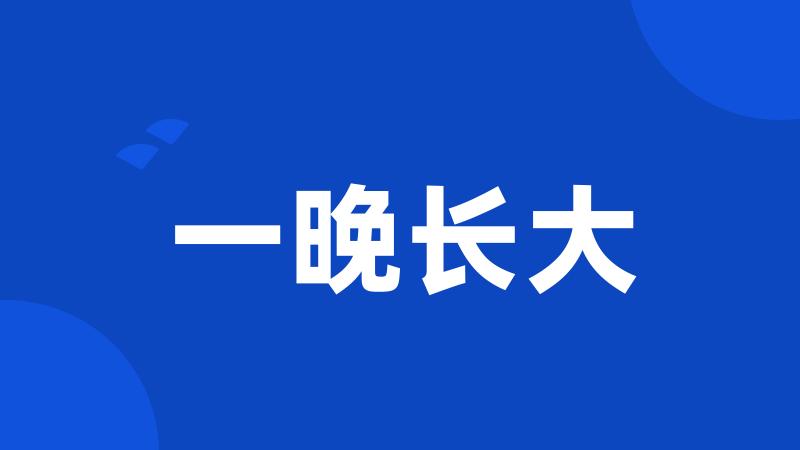 一晚长大