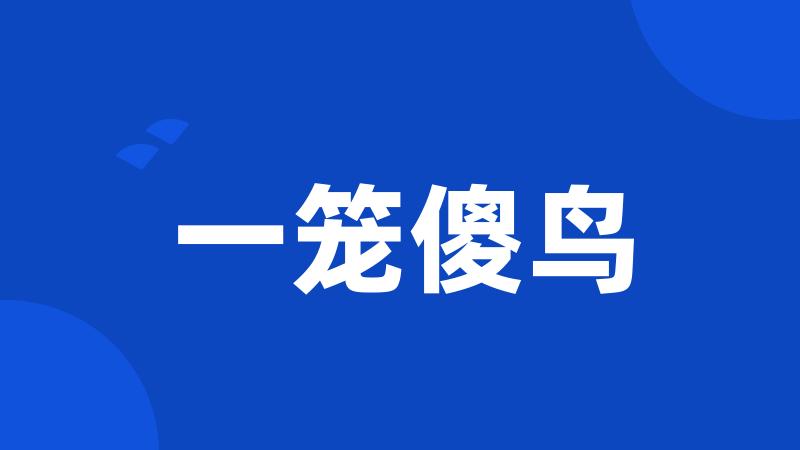 一笼傻鸟