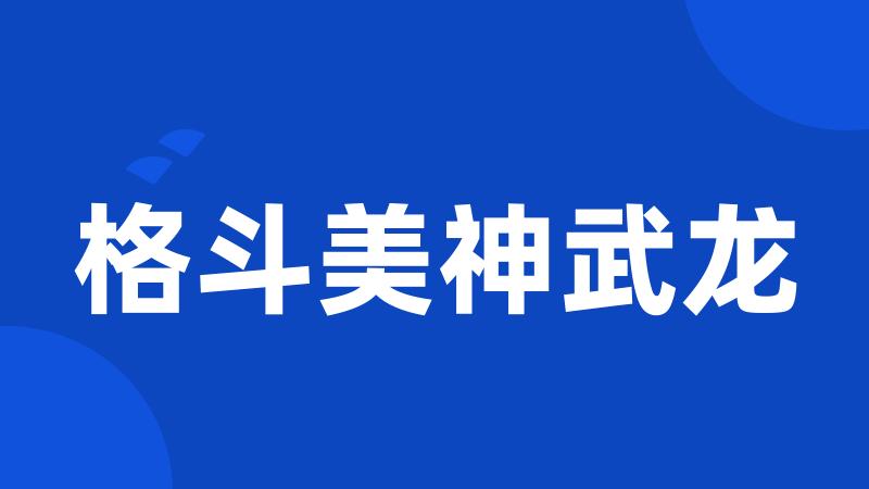 格斗美神武龙