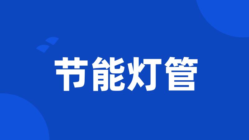 节能灯管