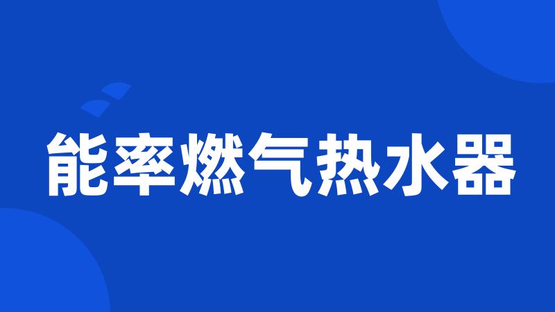 能率燃气热水器