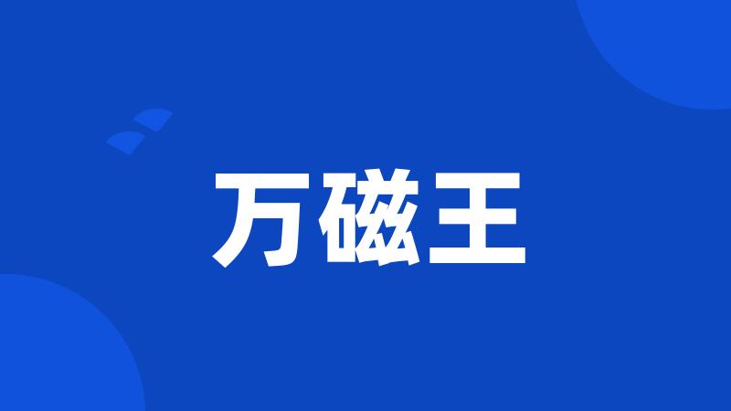 万磁王