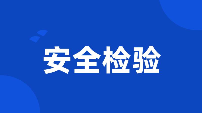 安全检验