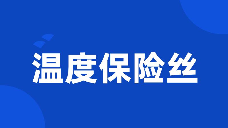 温度保险丝