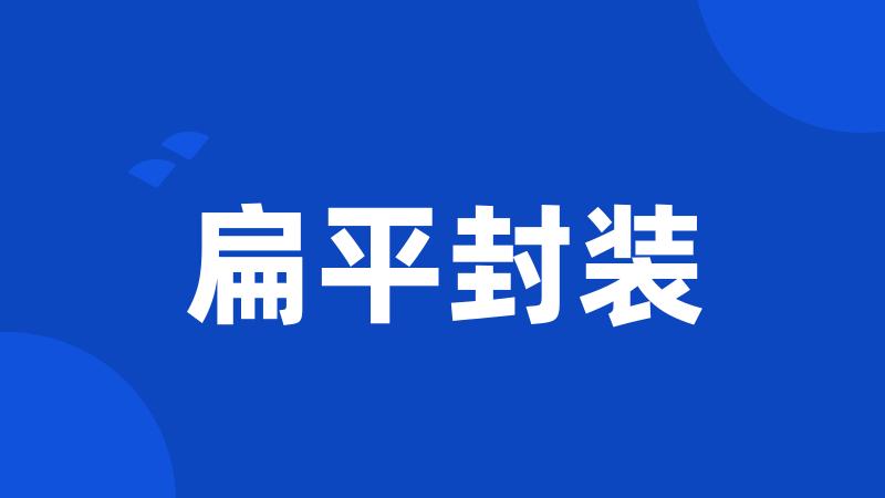 扁平封装