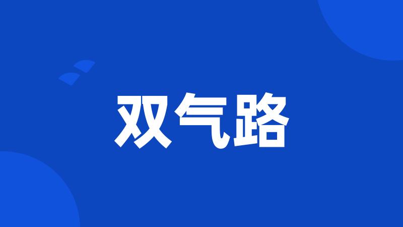 双气路