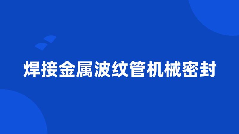 焊接金属波纹管机械密封