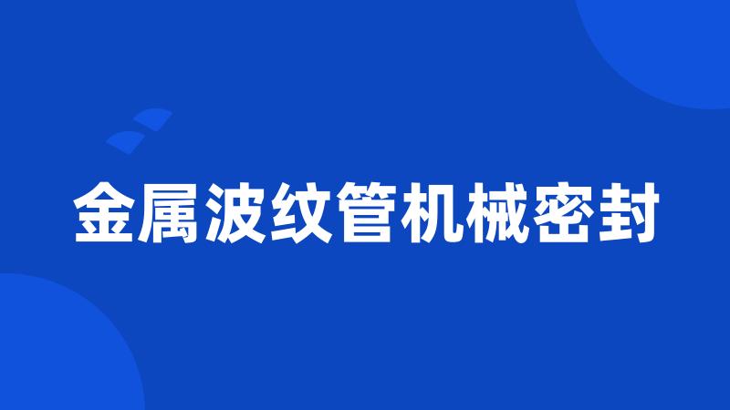 金属波纹管机械密封