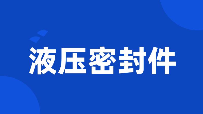 液压密封件