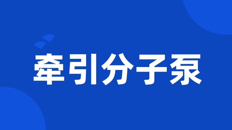 牵引分子泵
