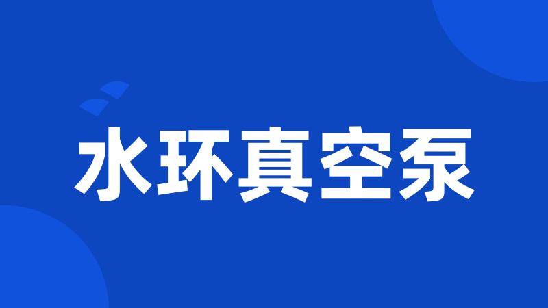 水环真空泵