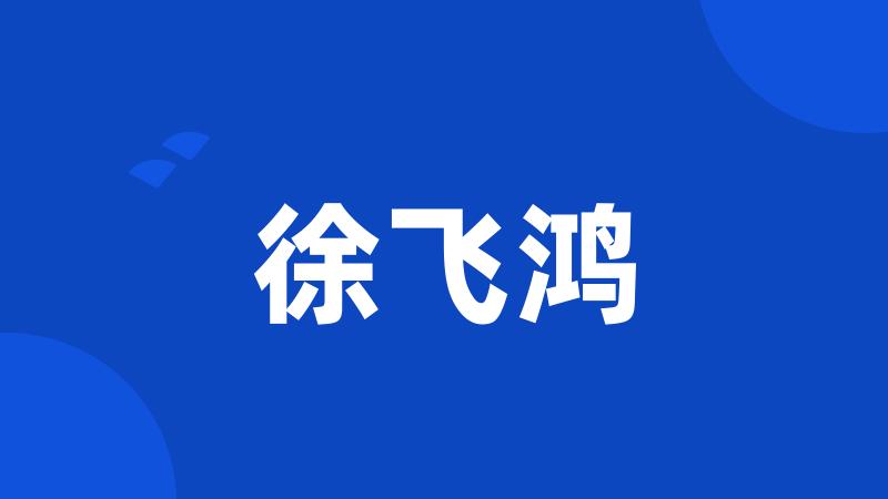 徐飞鸿