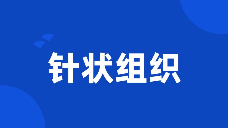 针状组织